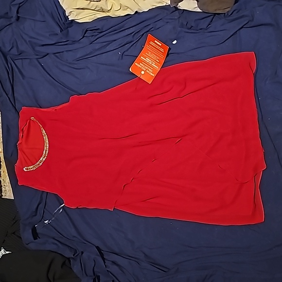 Red Dress - Picture 5 of 6